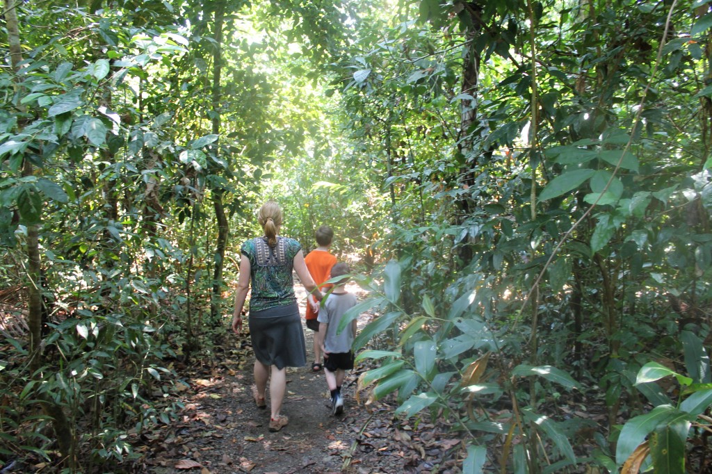Spotting monkeys in Manuel Antonio