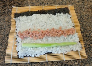 Sushi 011