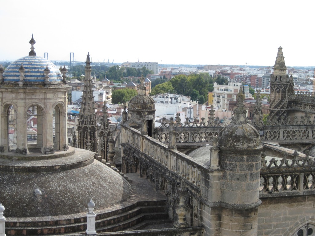 View from the top of the minaret