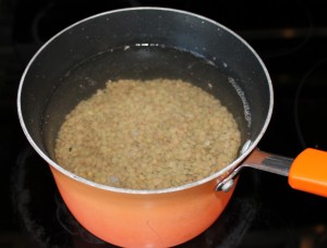 Soak lentils for at least an hour before starting.