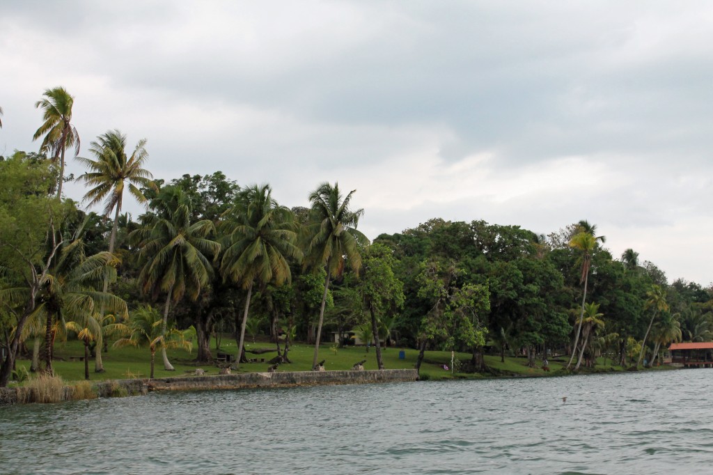 The shores of the Rio Dulce