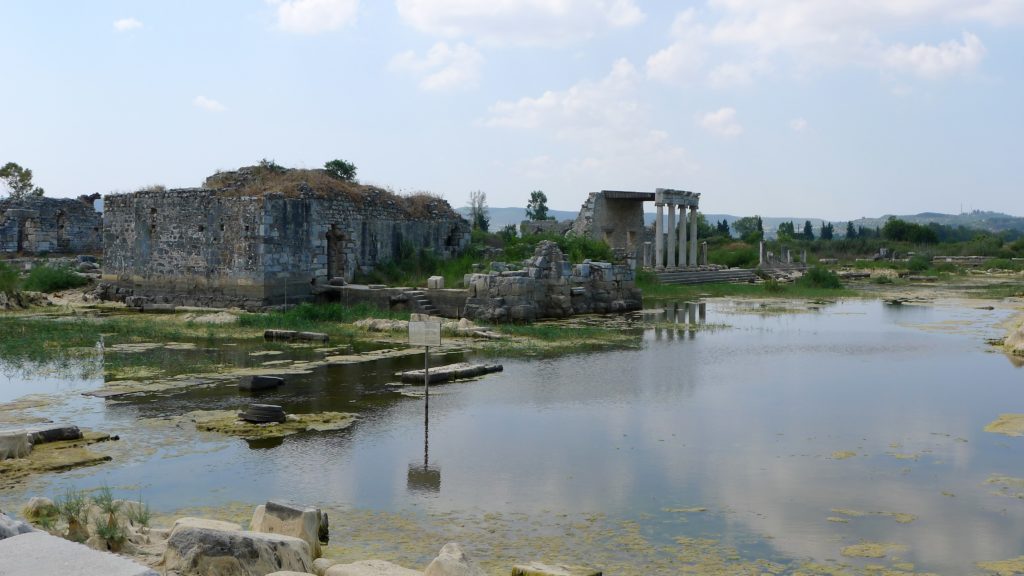 Ancient ruins surrounded with swampland