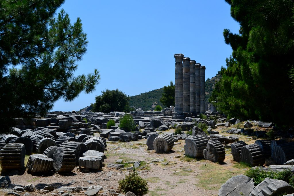 Five pillars surrounded with ancient ruins in a beautiful setting