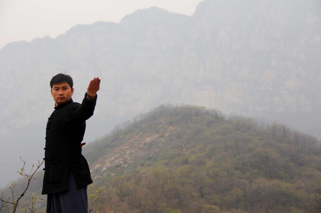 Liu stands in front of a misty mountain scene, demonstrating a wushu pose