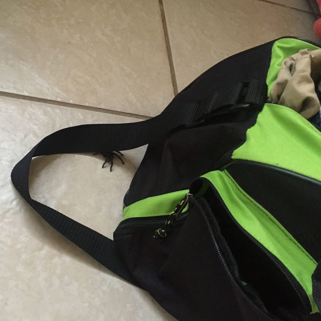 A tarantula climbs out of a duffel bag