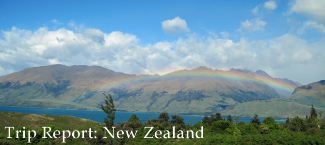 Trip Report: New Zealand 2011