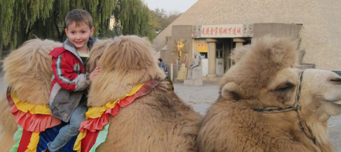 Things He Learned . . . Everywhere