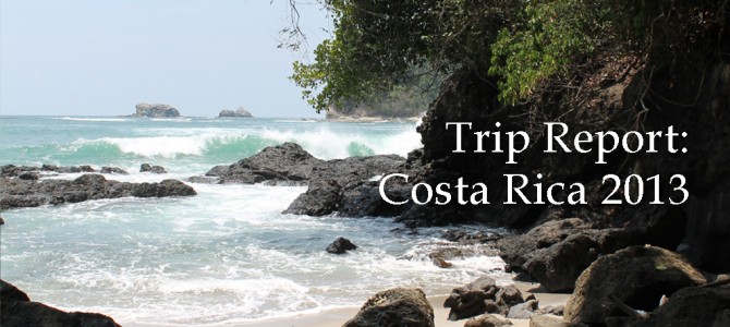 Trip Report:  Costa Rica 2013