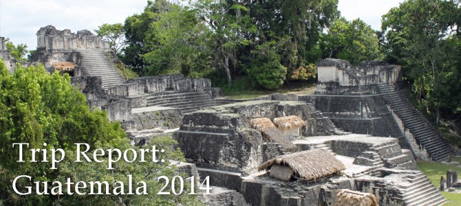 Trip Report: Guatemala 2014