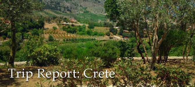 Field Agent Trip Report: Crete