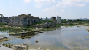 Ancient ruins surrounded with swampland