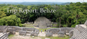 Overlooking the court of a group of Mayan ruins