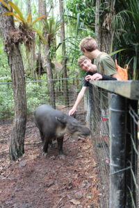 The author's sons pet a tapir